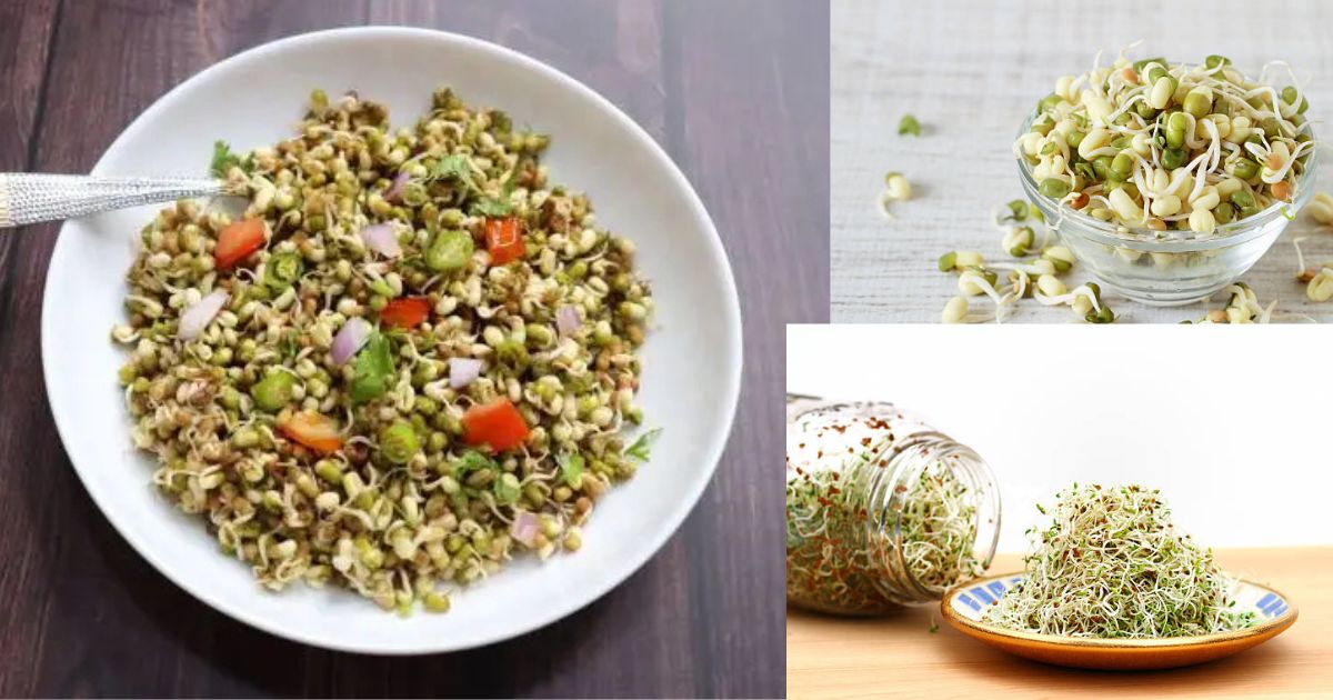 Lose Fat Easily: How Whole Grains Can Transform Your Weight Loss Journey