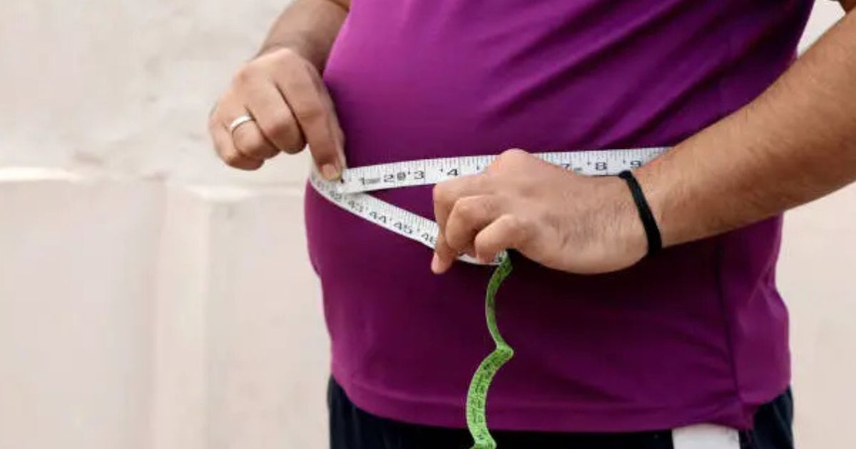 walking plan to lose belly fat