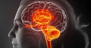 Vitamin K and Brain Health: How This Powerful Nutrient Supports Brain Healing