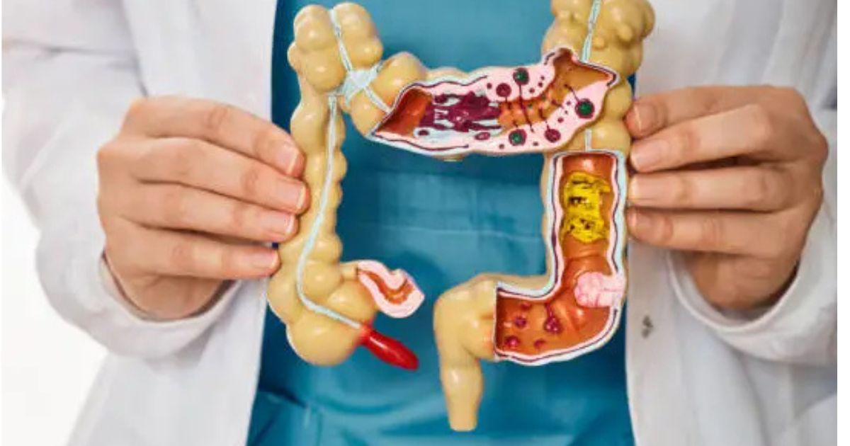 10 Healthy Diet Tips Americans Should Follow and Avoid