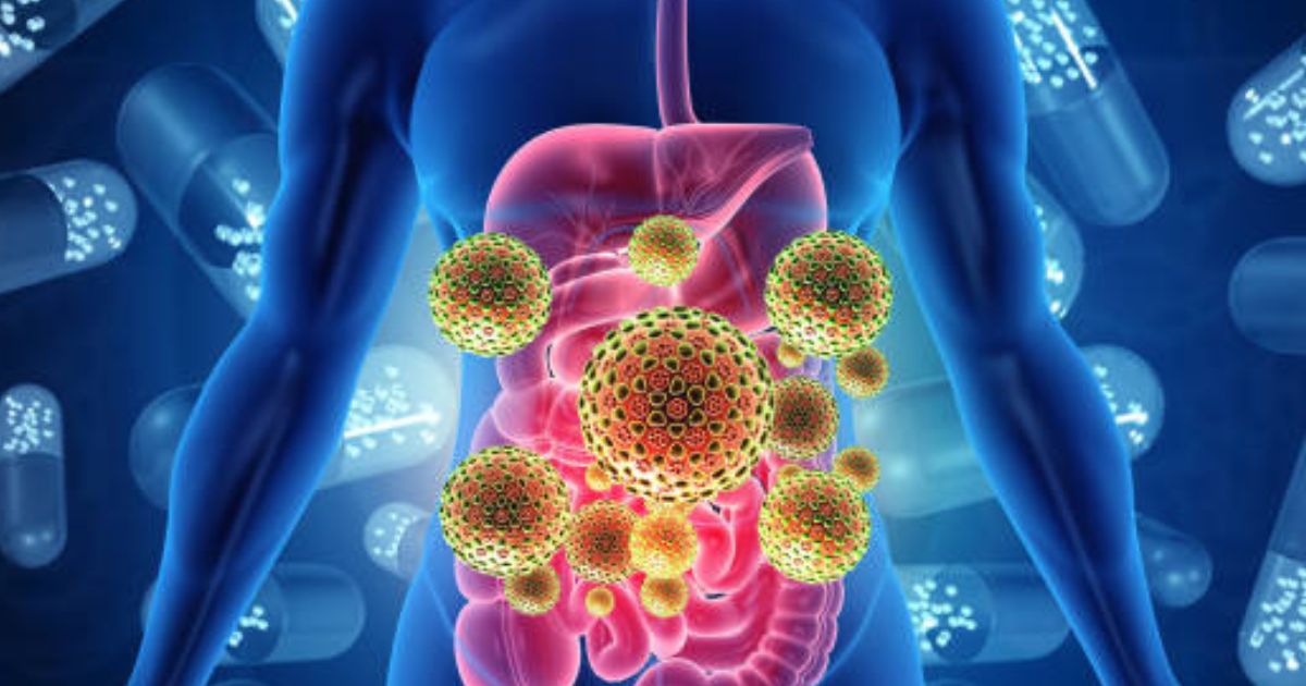 Top 7 Probiotics and Prebiotics to Boost Your Gut Health in 2025